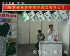 绿动华东 探析第九届肥料农资交易的行业对话与文化脉动