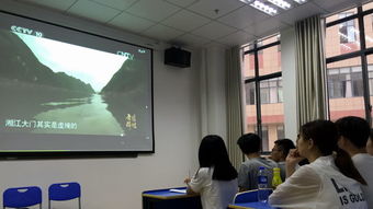 铭记苦难辉煌，汲取前行力量——艺术学院学生第二党支部组织观看纪录片及文化交流活动