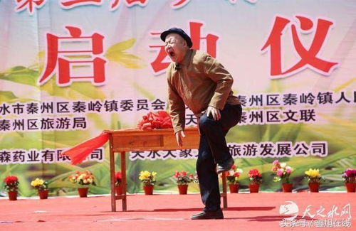 春满秦州 秦岭第二届连翘旅游节暨第三届乡村文化旅游周盛启